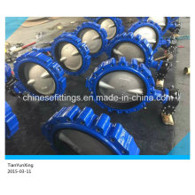 CF8m Disc EPDM Two/Double Stem Lugged Butterfly Valve